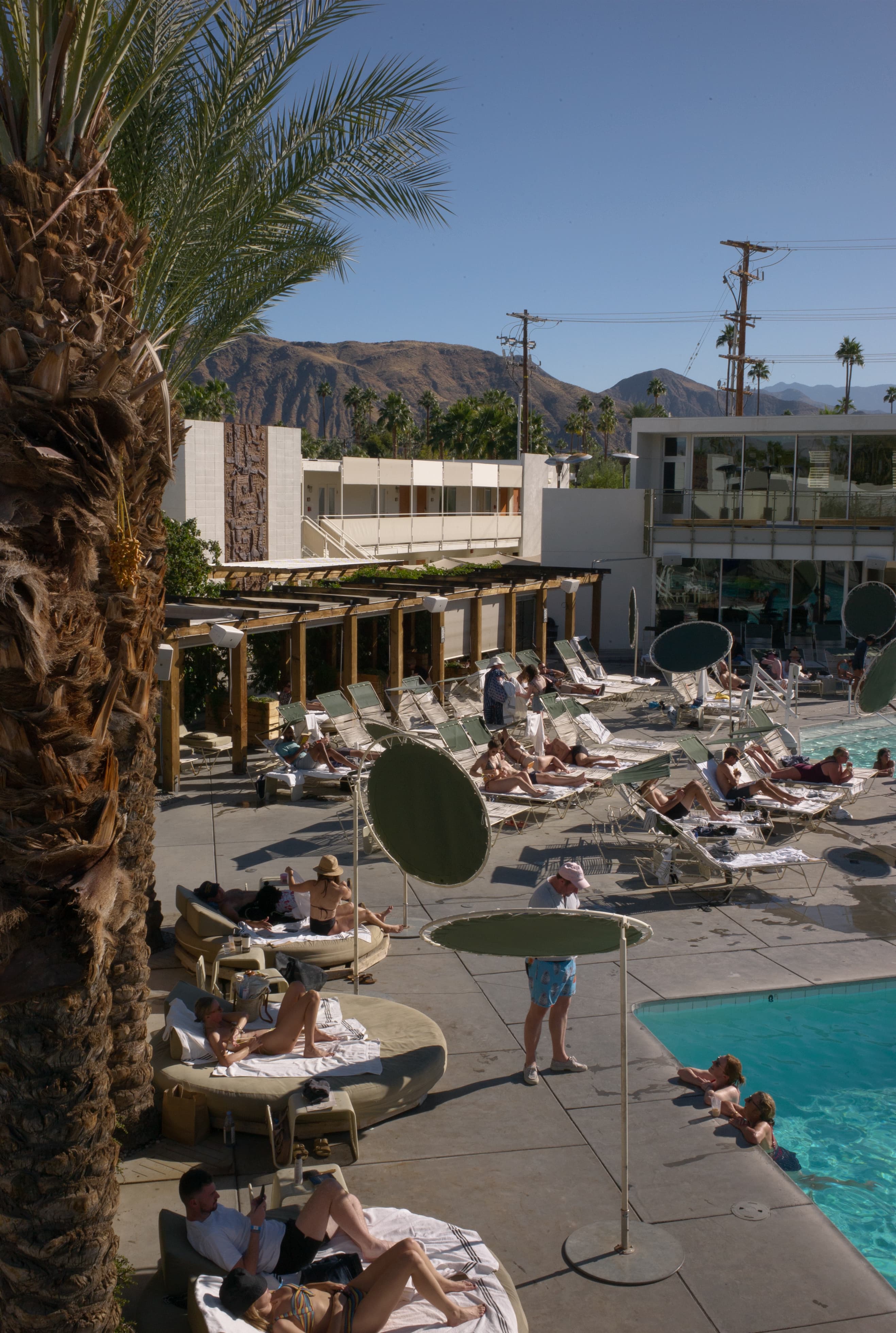 Poolside Palm Springs